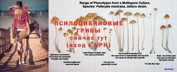 хмурый Балахна