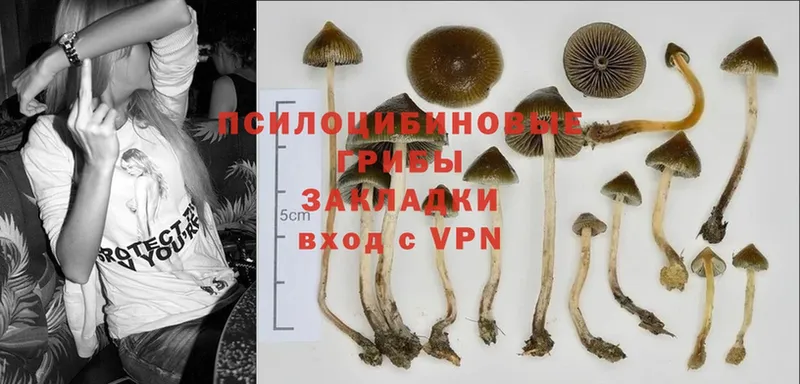 Галлюциногенные грибы Magic Shrooms  Никольское 